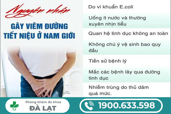Hình ảnh minh họa